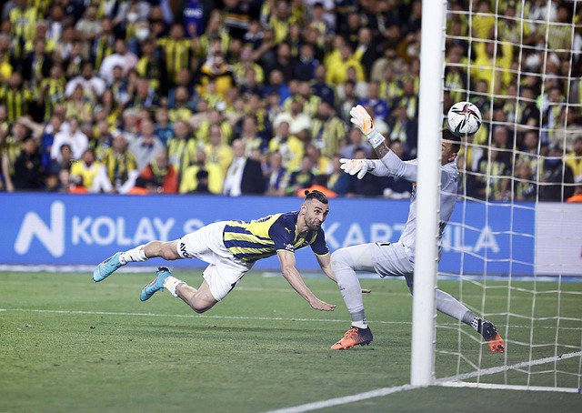 运动员的竞 运动员的竞