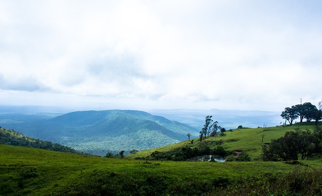 标题中的 标题中的