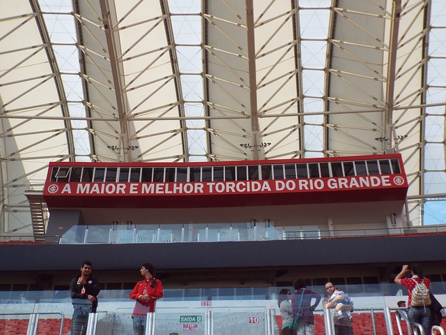 为他的国家 为他的国家