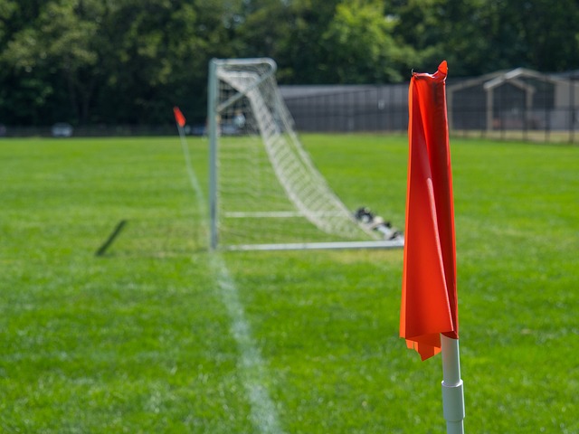 可能将改变 可能将改变