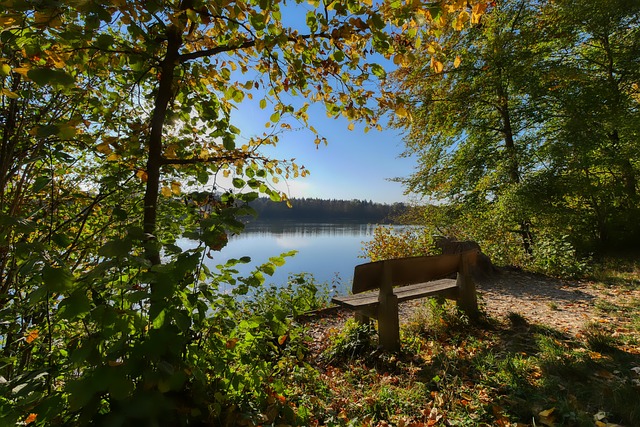 中站稳脚跟 中站稳脚跟