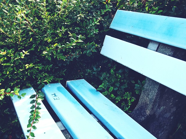 赛道简介 赛道简介