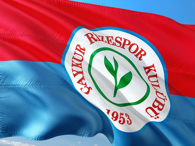 并最终逆转 并最终逆转