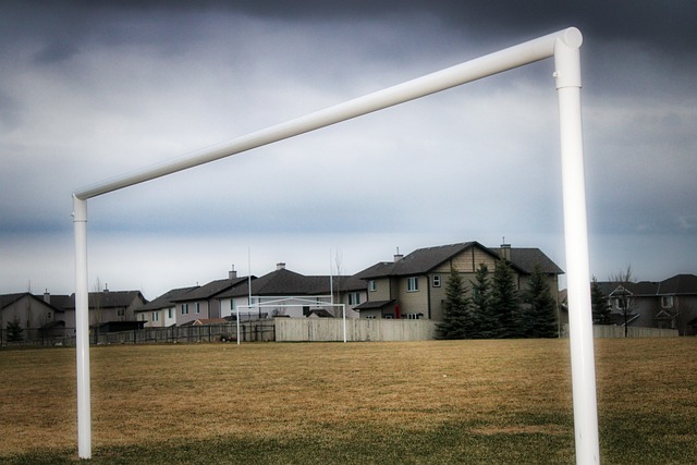 绪的传播 绪的传播