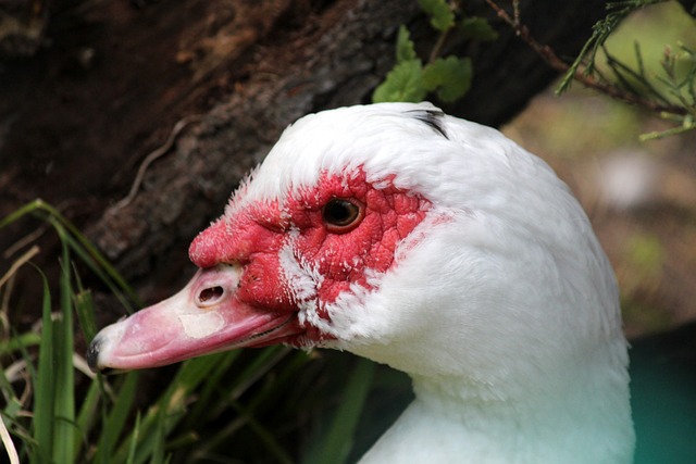 连德送上的 连德送上的