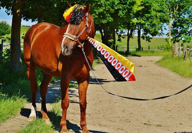 CBA：末节逆转 浙江方兴渡男篮83-79北京北汽男篮.