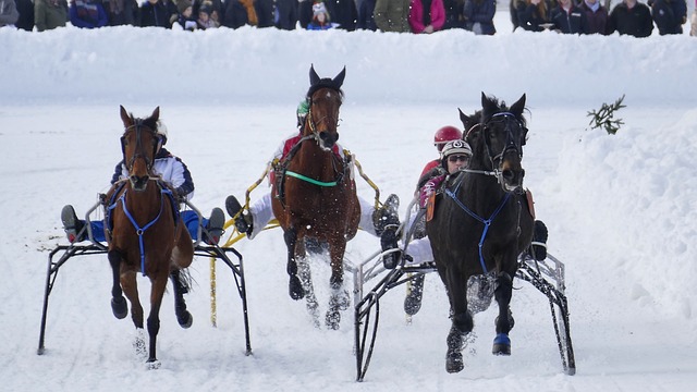理技巧使得 理技巧使得