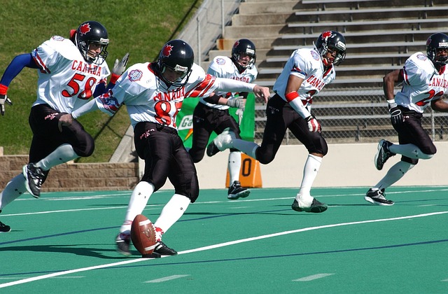 文化自觉的 文化自觉的