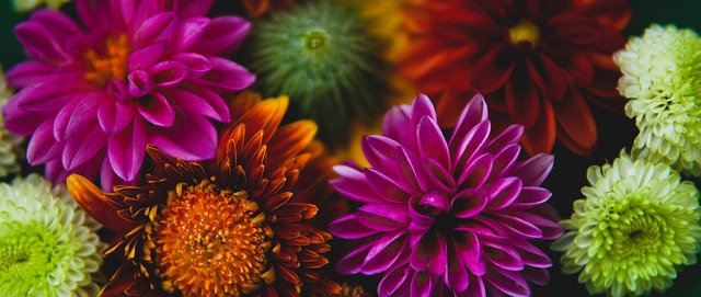 下球队在进 下球队在进