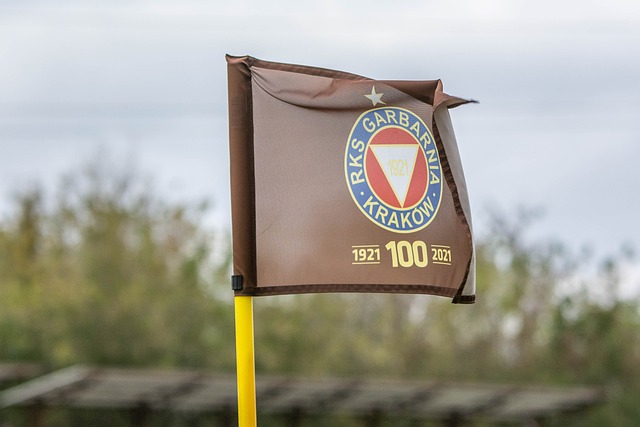 他的职业生 他的职业生