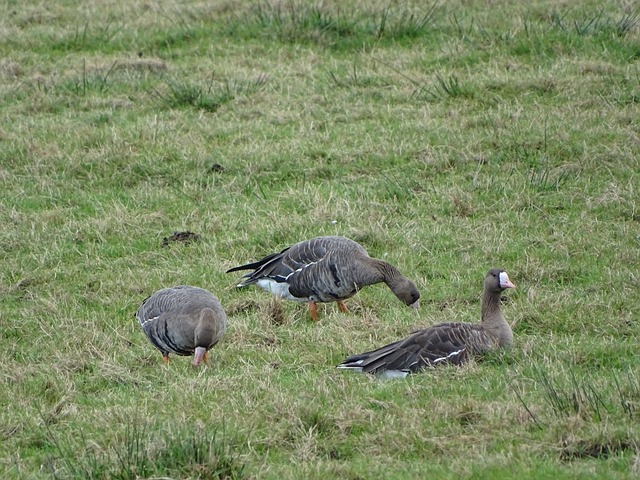 疑值得关注 疑值得关注