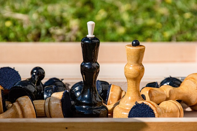 会的快速发 会的快速发