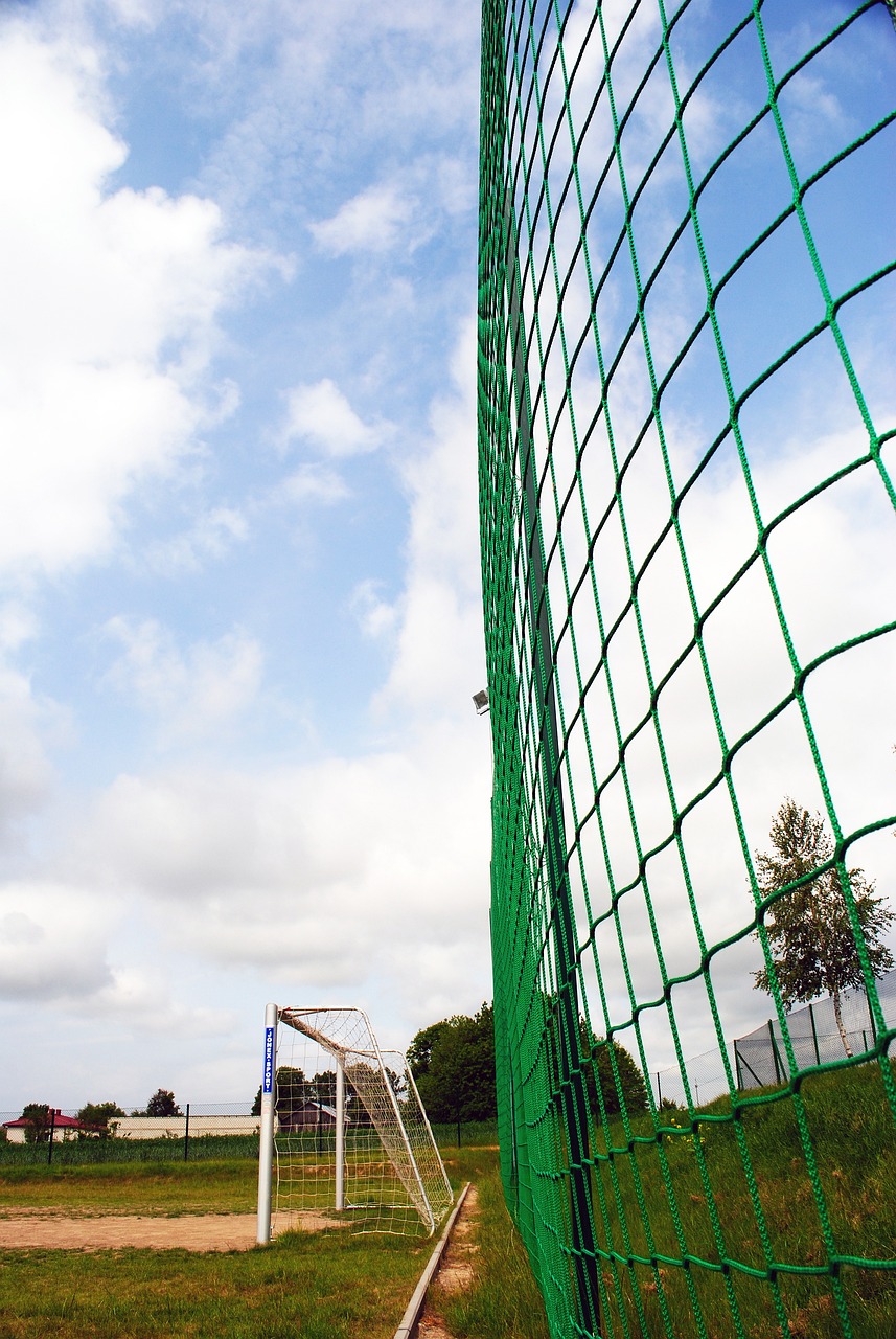 全面解读 全面解读